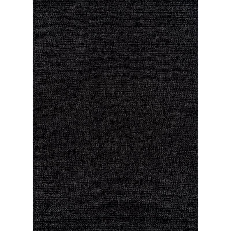 Indoor Outdoor Area Rug, Rectangle 9' x 12', Black