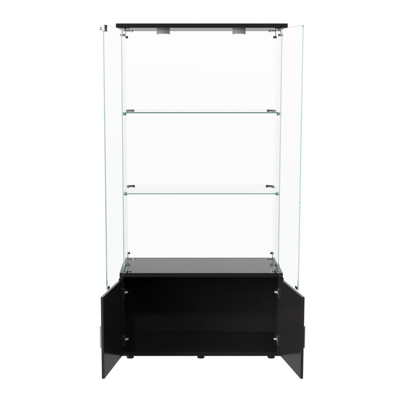 Glass 78.51 cm W Display Cabinet, Black