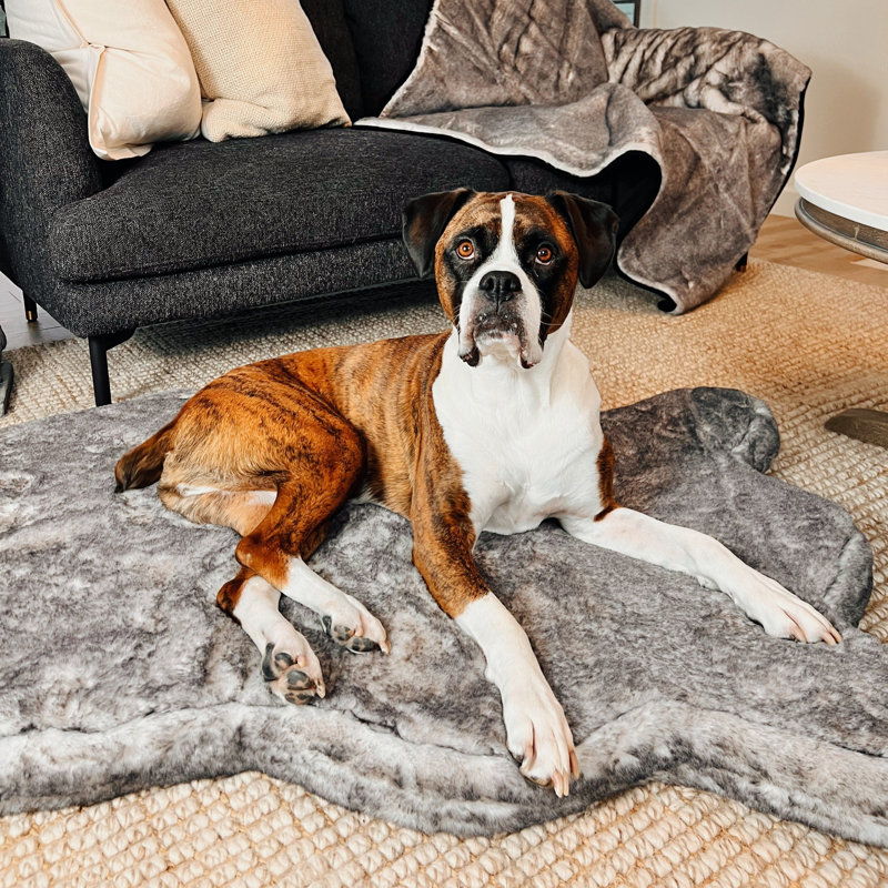 Lit orthopédique pour chien PupRug Luxe, 30, Gray