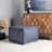 Fraire Upholstered Pouf