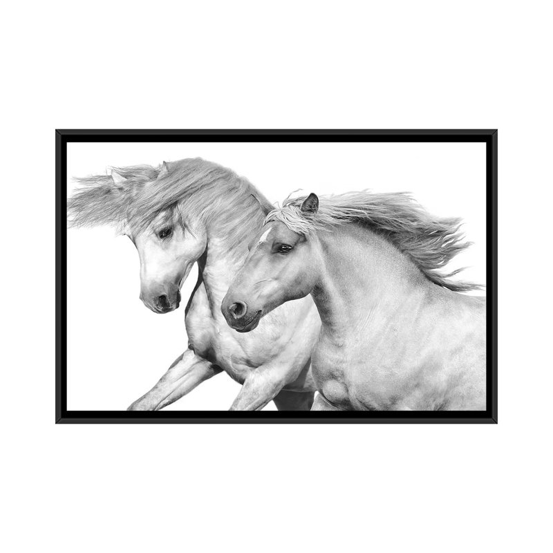 « duo i », impression sur toile, H 18 po x l 26 po x P 1,5 po, Toile avec cadre noir, Pas de tapis