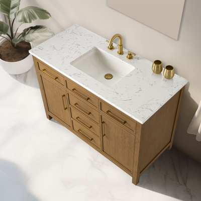 Reajean 48" Single Vanity