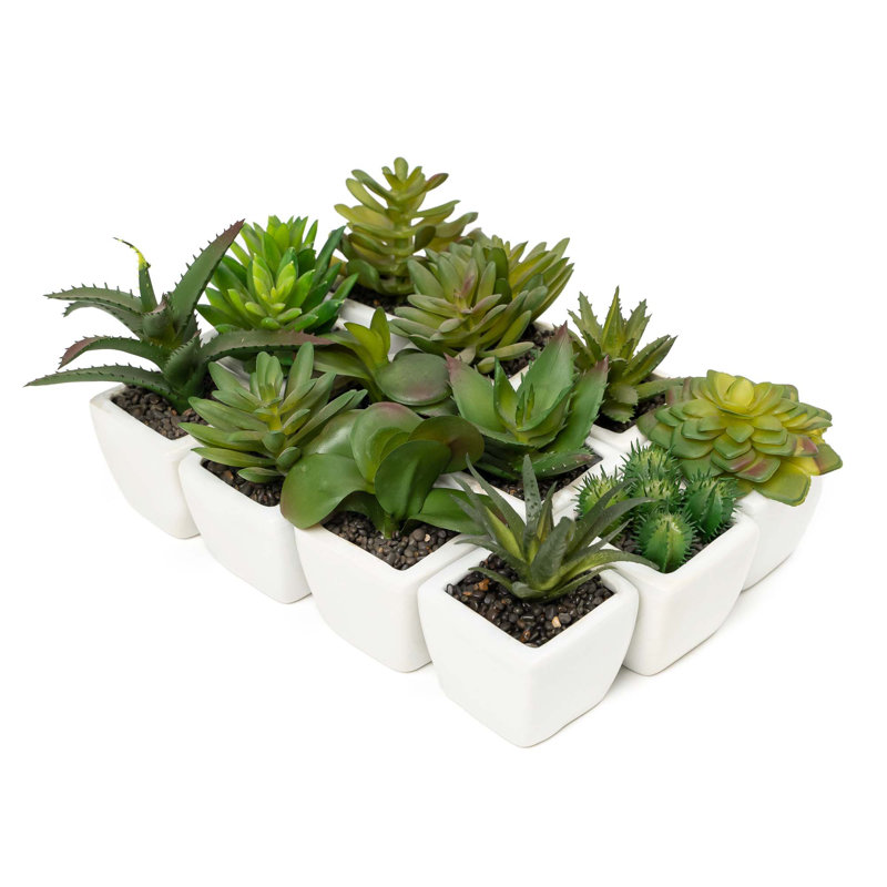 2'' Faux Cactus Succulent in Glass Pot