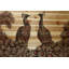 « peacock partner bold i », impression sur bois-26601242