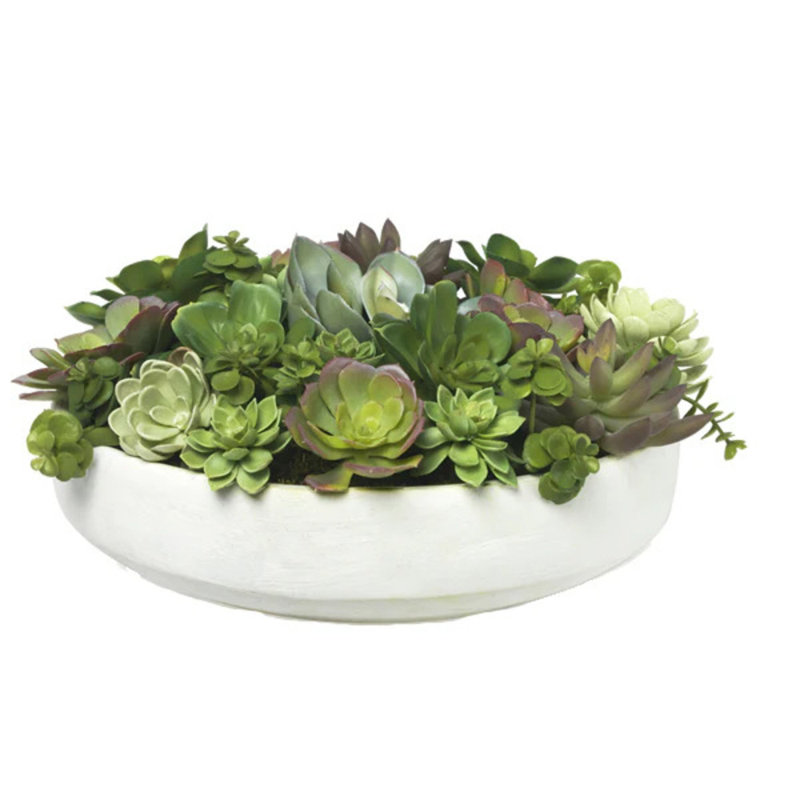 Mixed Echeveria In Clay Bowl