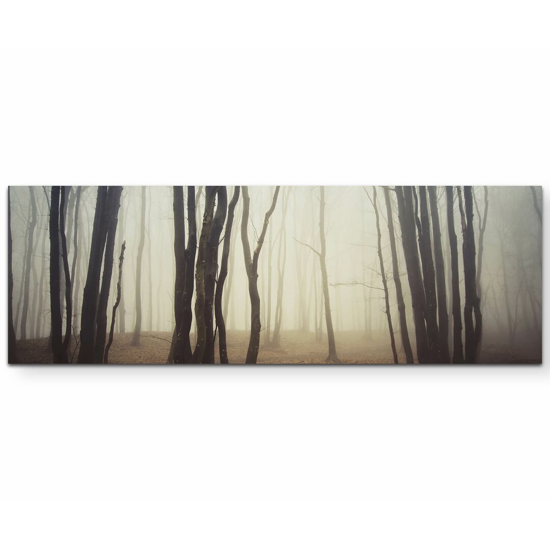 Leinwandbild Wald im Nebel