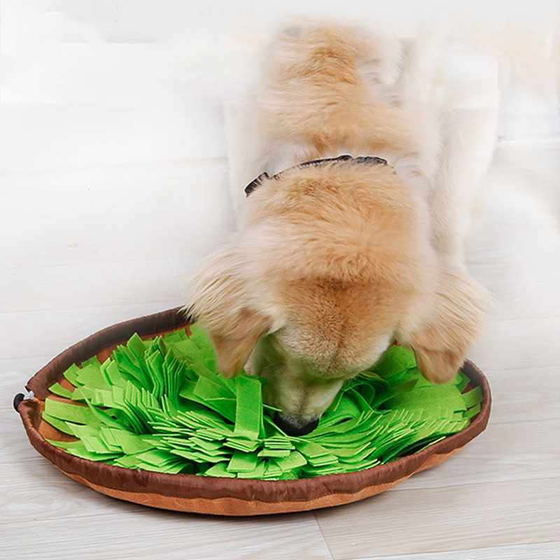 Tapis de jeu interactif pour animaux, Vert