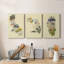 «Illustrated State-California», ensemble de 3 impressions sur toile tendue-1190689493