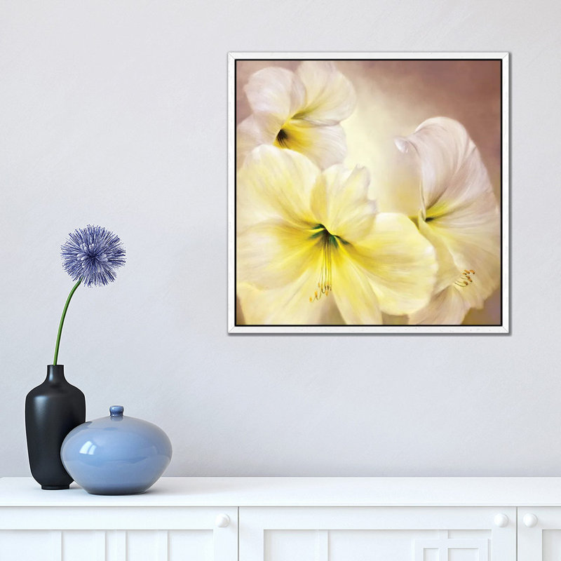 White Amaryllis by Marianna Shakhova - Print on Canvas, White Framed, 45.72 cm H x 45.72 cm W