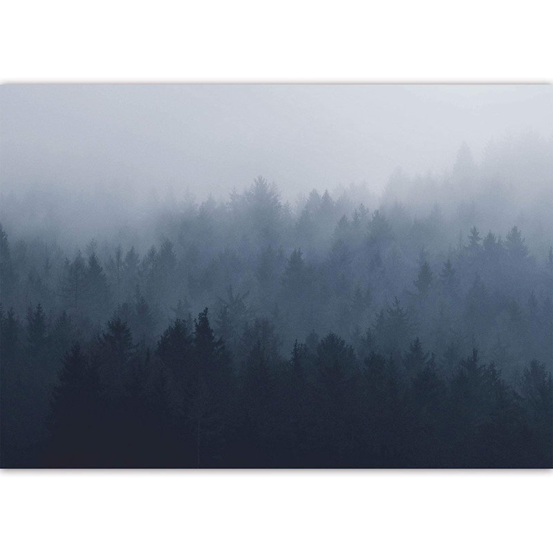 Murale forêt couverte de brume, L 100 po x l 144 po