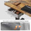 Adjustable Height Modular Steel Standing Desk-229180457-229180461-229207507