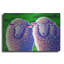 «Two Colorful Sheep» par Rebecca Wang Art-263334638