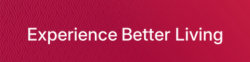 Dimplex Logo