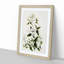 Clematis Flowers by Sarah Featon - Picture Frame Painting Print-55545963-55545964