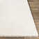 Bjarne Oriental Indoor Rug