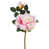 Rose est en rupture de stock