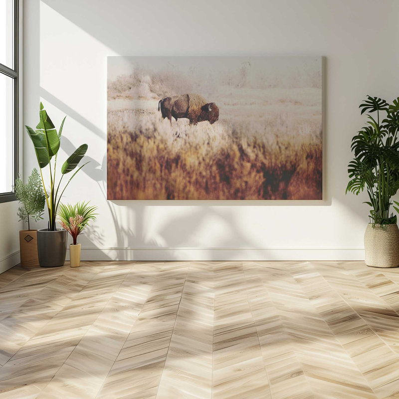 Lone Ranger, Large Canvas Print, 36" H x 54" W