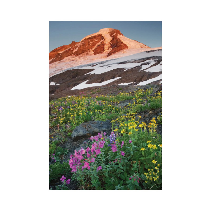 USA, Washington State. Mount Baker, Seen From Meadows Of Heliotrope Ridge, Mount Baker Wilderness. by Alan Majchrowicz - Wrapped Canvas Gallery-Wrapped Canvas Giclée