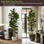 Arbre à figuier artificiel avec pot Marci 72 po H Marci
