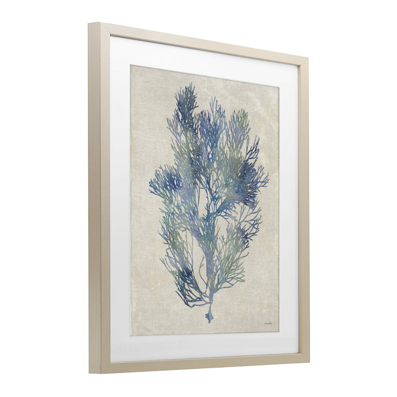 «Misty Blue Coral Study», reproduction sous verre encadrée, design par Amber Sterling, 21 x 17