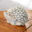 Animals Concrete / Cement Garden Statue-235632848