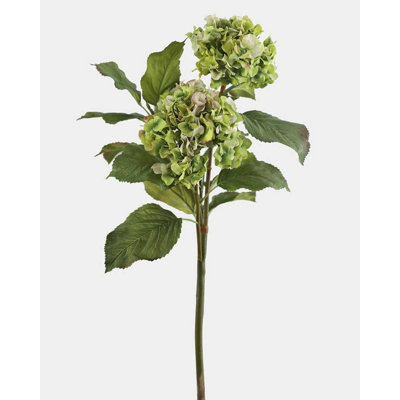 Hortensia double vert 91 cm