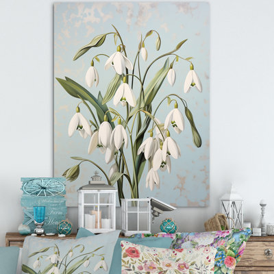 " Snowdrops Moonlit Galanthus Nivalis IV "