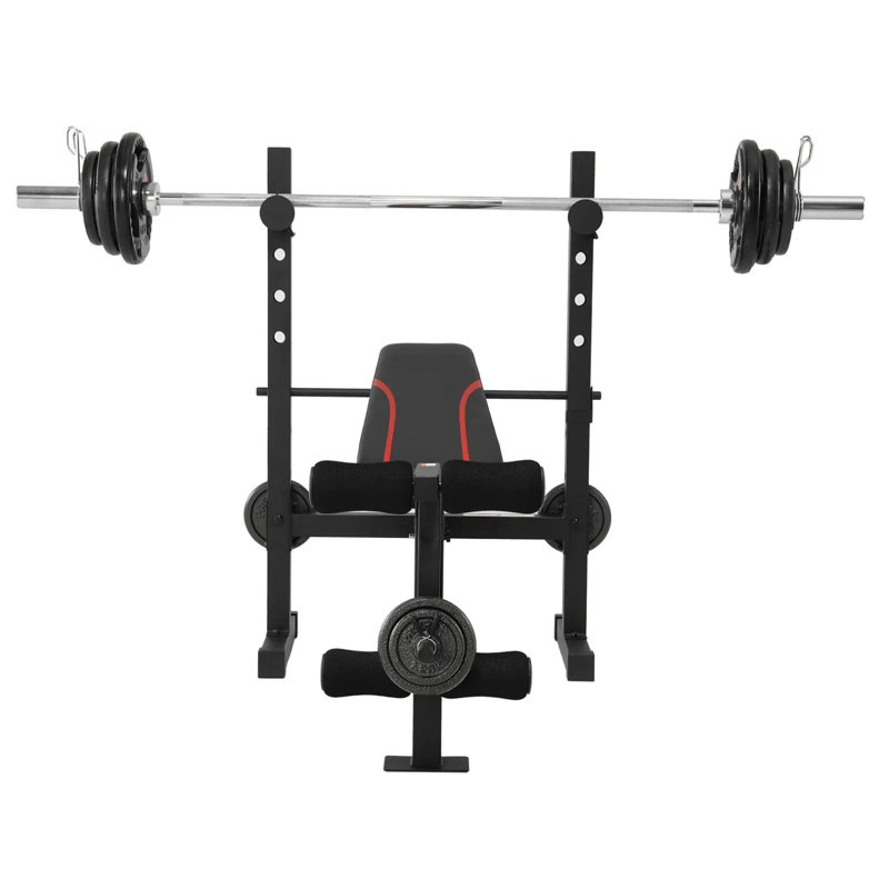 12-in-1 Adjustable Weight Bench with Leg Extension and Leg Curl