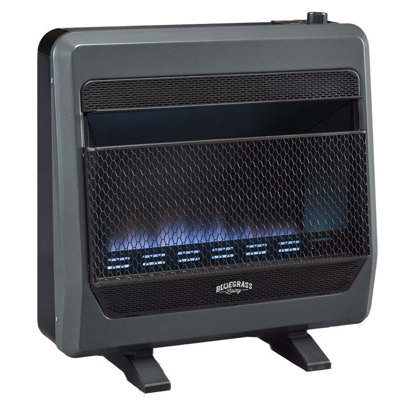 Chauffage d'appoint au gaz naturel Bluegrass Living 30 000 BTU sans conduit d'Ã©vacuation, avec ventilateur et pieds