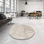 Oriental Indoor Rug-616620571