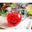64 oz. Pint Glass Set