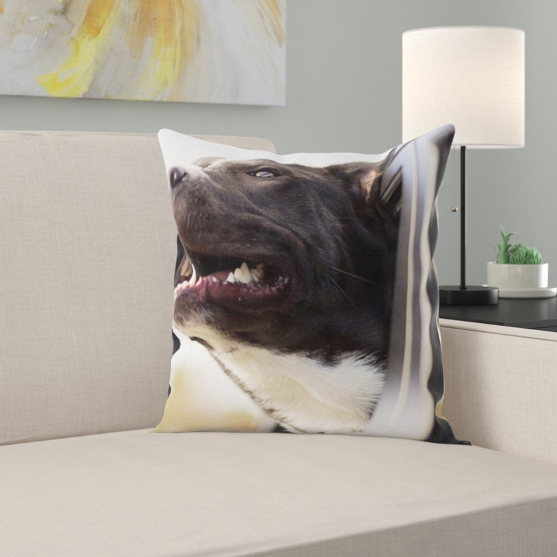 Coussin pour chien