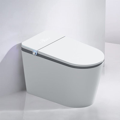 Schnappi 1.6 GPF Elongated 16 Comfort Height Floor Mounted Bidet Toilet with Seat Included
