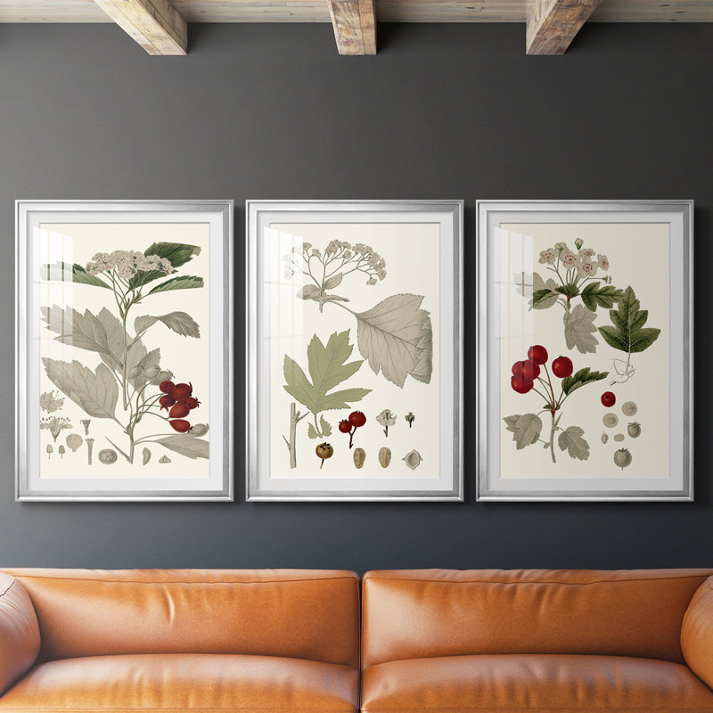 Feuilles et baies I - Impression personnalisée de qualité supérieure avec cadre - 3 pièces, H 19 po x l 27 po, Argent argent