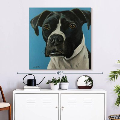 Boxer noir Brampt