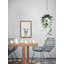 Jolly Llama - Single Picture Frame Print-1381670740