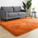Alexanda Standard Shag Area Rug
