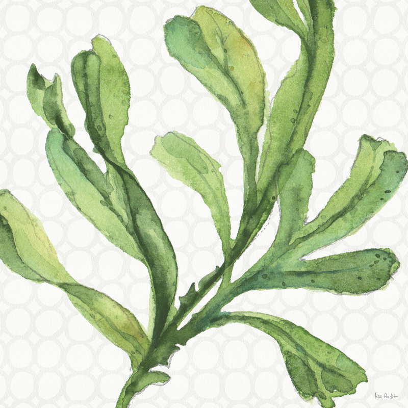 Mixed Greens XIX by Lisa Audit - Wrapped Canvas Painting, 51cm H x 51cm W x 3.8cm D