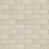Canvas Beige