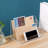 Carone Plastic File Organizer