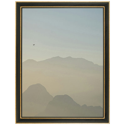 16x20 Picture Frame Gold Olympic  , 1.5 Inch Wood Moulding , Includes Acrylic and Backing , Wall Display Frame for Art, Posters, or Photos , Frame USA