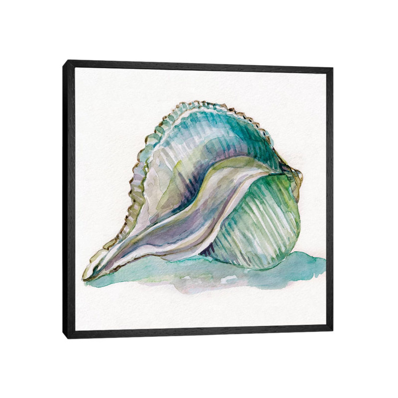 Malecon Shell I by Carol Robinson - Print on Canvas, Black Framed, 66.04 cm H x 66.04 cm W
