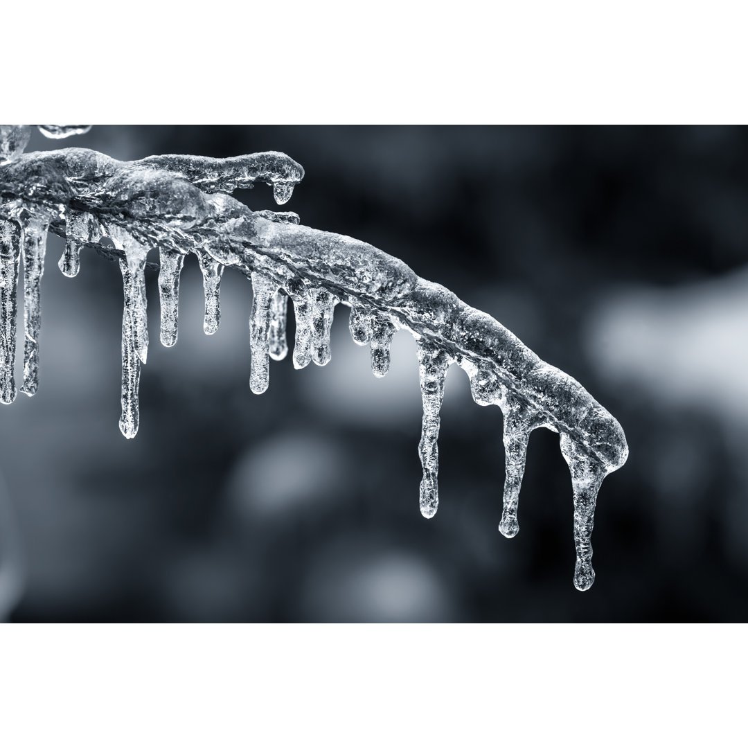 Blue Icicles by Elenathewise - Wrapped Canvas Print