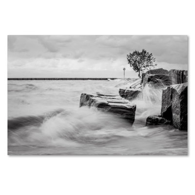 Lake Erie' by Jason Shaffer Photographic Print on Wrapped Canvas -  Trademark Fine Art, JS0069-C1219GG