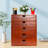 5-Drawer Wood Storage Drawer