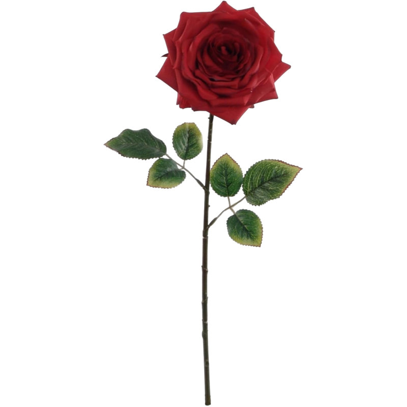 Tige de rose ouverte 20 po - paquet de 4