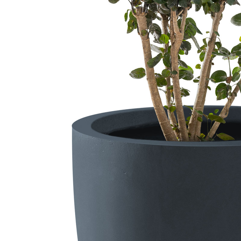 Pot de fleurs en béton, H 15 po x l 16,5 po x P 16,5 po, Gris anthracite