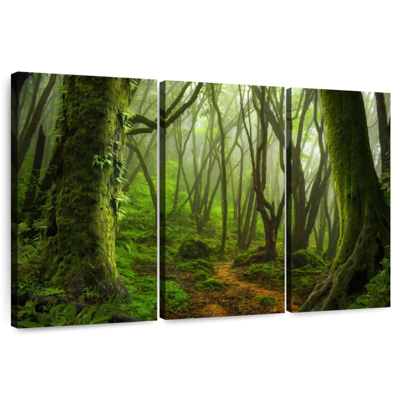 Alvord Mossy, jungle du Népal, H 24 po x l 38 po