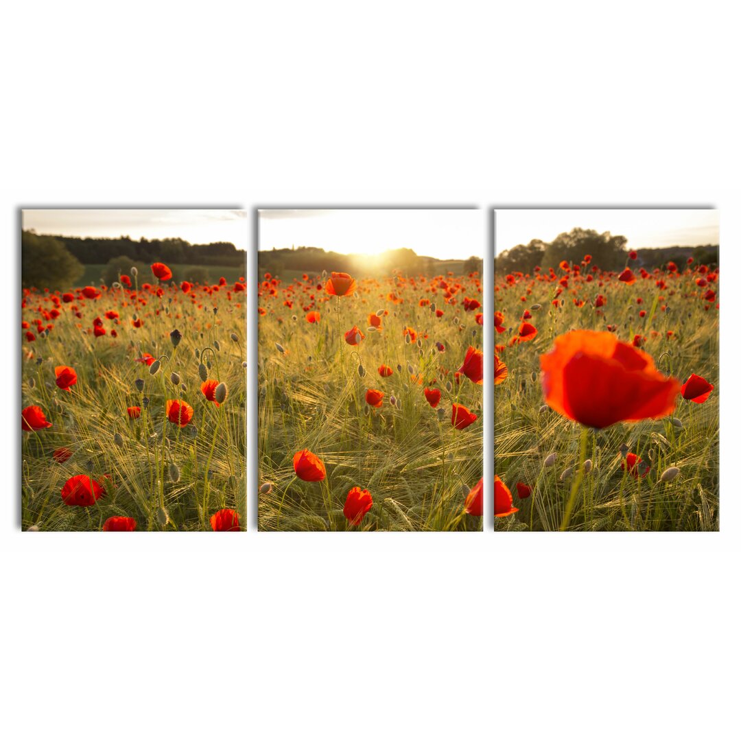 3-tlg. Leinwandbilder-Set Poppy Field at Sunset