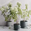 Pot à fleurs en plastique recyclé-129012108-129012112